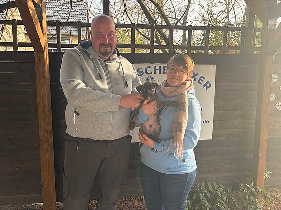 Boxerwelpe Cuno mit neuen Besitzern