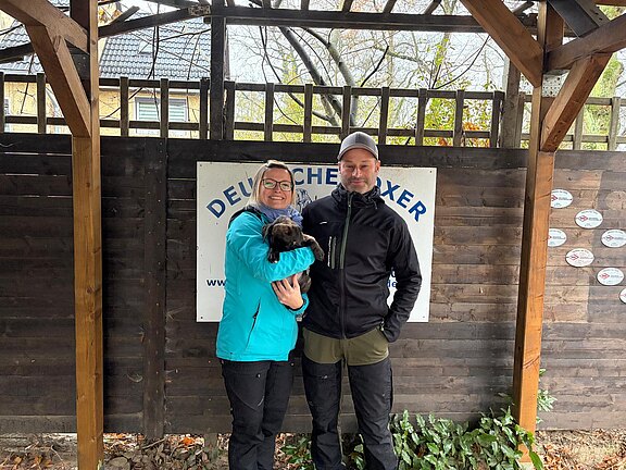 Boxerwelpe Circa mit neuen Besitzern