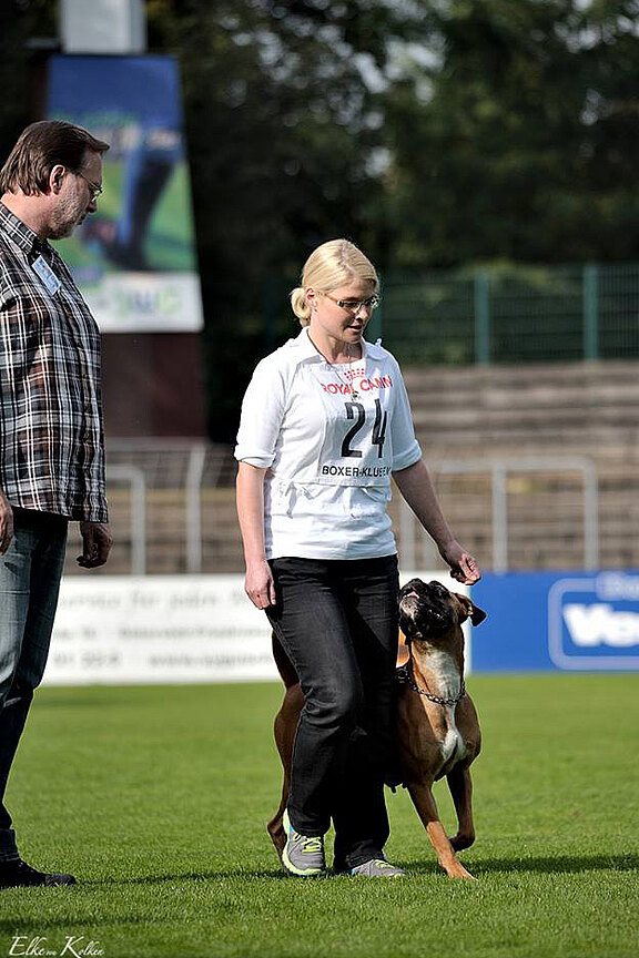 Frieda vom Lankwitzer Orden, Atibox IPO WM 2015