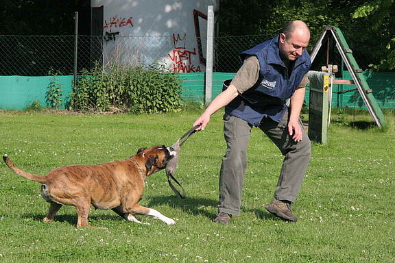 Jaylo von Ehra, Unterordnung