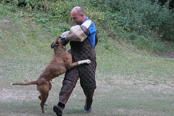 Jaylo von Ehra, Schutzdienst