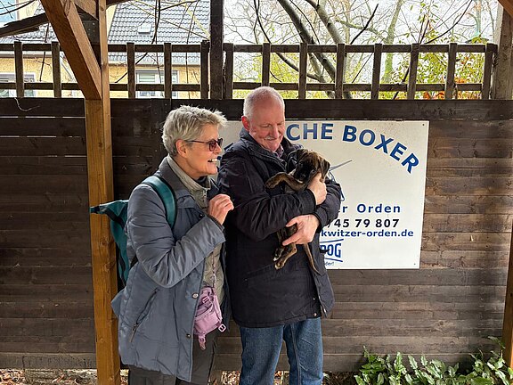 Boxerwelpe Chiva-Ayka mit neuen Besitzern