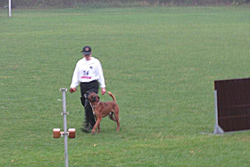 Baron vom Königsbusch - DM 2009 