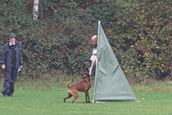 Baron vom Königsbusch - DM 2009 - Schutzdienst