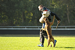 Baron vom Königsbusch - DM 2010