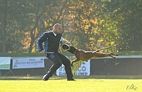 Baron vom Königsbusch - DM 2010