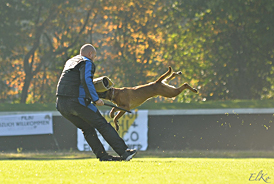 Baron vom Königsbusch - DM 2010