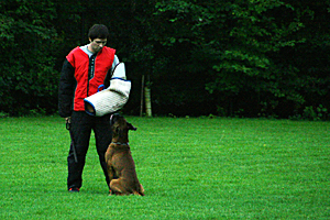 Baron vom Königsbusch - LAP 2010 - Schutzdienst