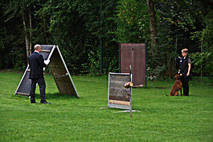 Baron vom Königsbusch - LAP 2010 - Unterordnung